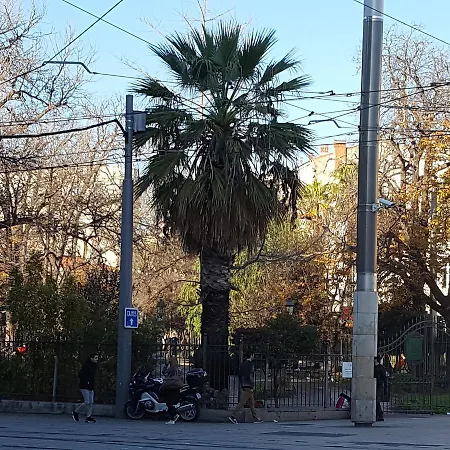 Saint Roch Centre Montpellier