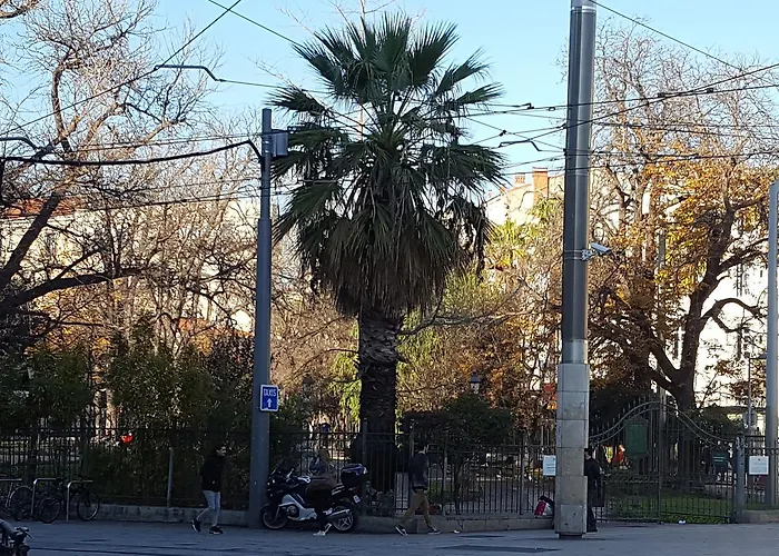 Saint Roch Centre Montpellier
